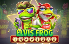 Elvis Frog in Vegas